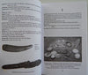 Cargar imagen en el visor de la galería, Diccionario Taíno Ilustrado-Books-Un Coquí de Boriquén
